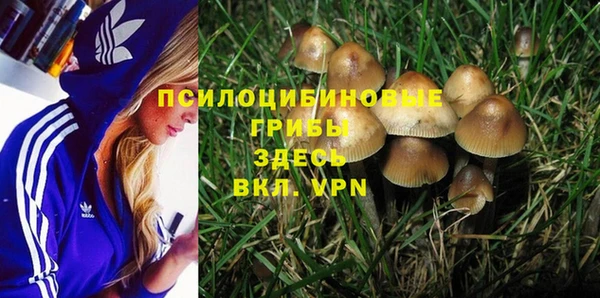 гашик Аркадак