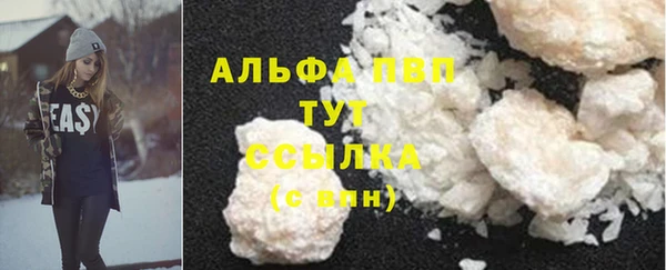гашик Аркадак